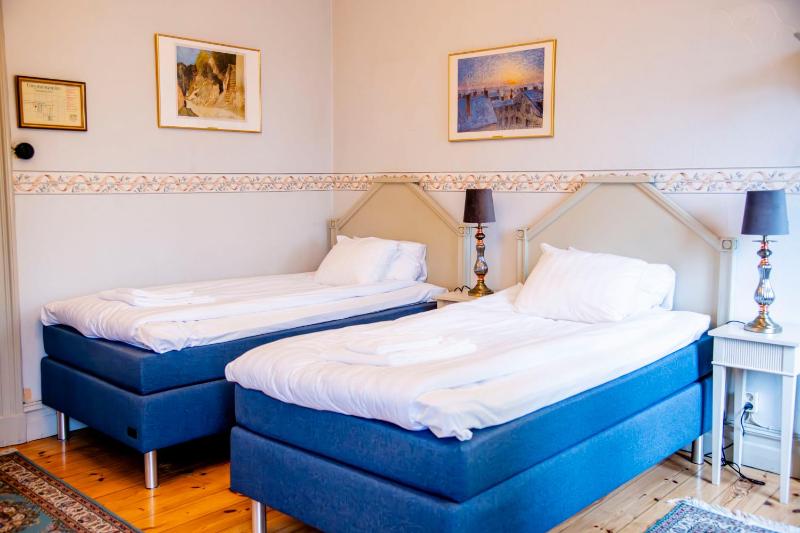 Standard Twin Room image 3