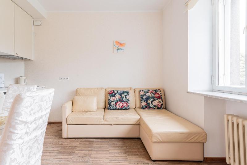 Economy One-Bedroom Apartment image 3