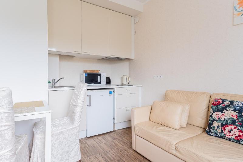 Economy One-Bedroom Apartment image 4