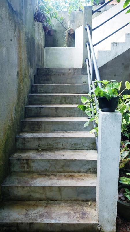 Vaas Place - image 11
