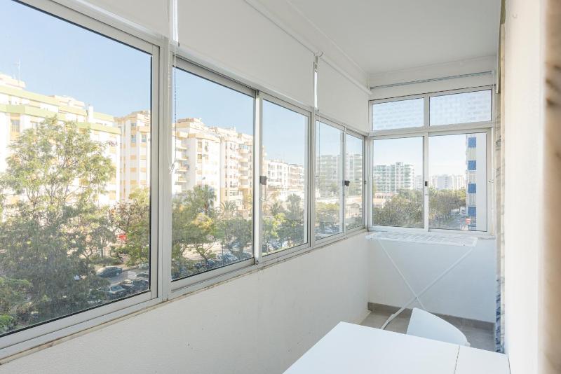 Sea Studio - image 11