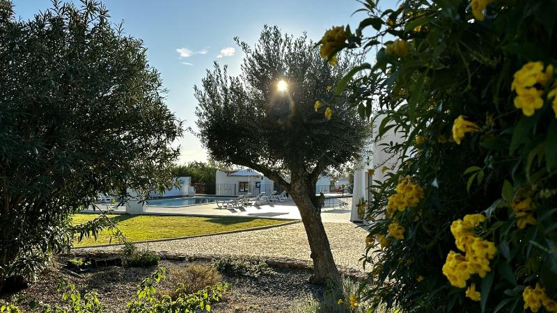 Mourisca - Private Pool - 13 Guests - Vilamoura - image 49