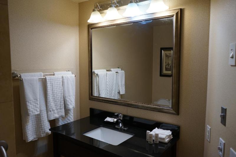 King Studio Suite - Non-Smoking image 2