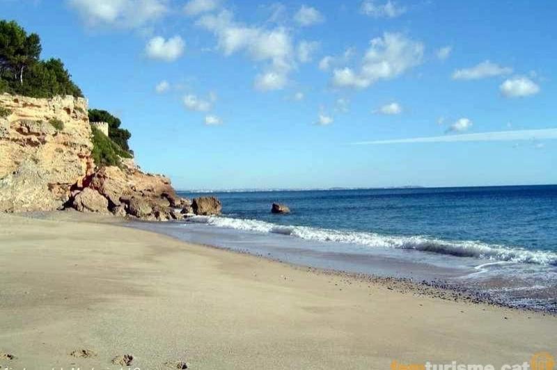 MIAMI - CALAS Images