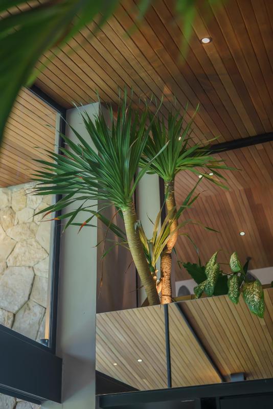 Ohlala - Luxury Tropical Escape in Pererenan - image 4