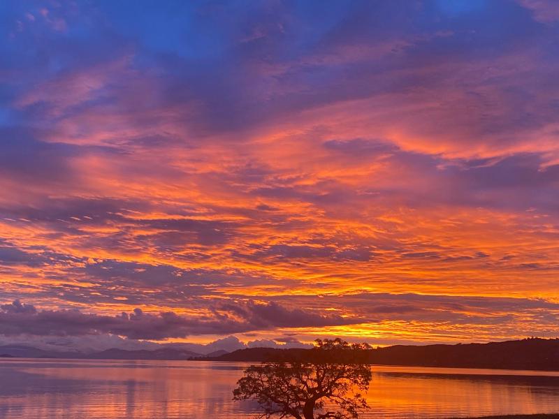 Lakeside Taupo Motel - image 14