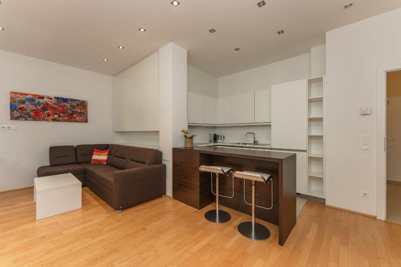 One-Bedroom Apartment image 3