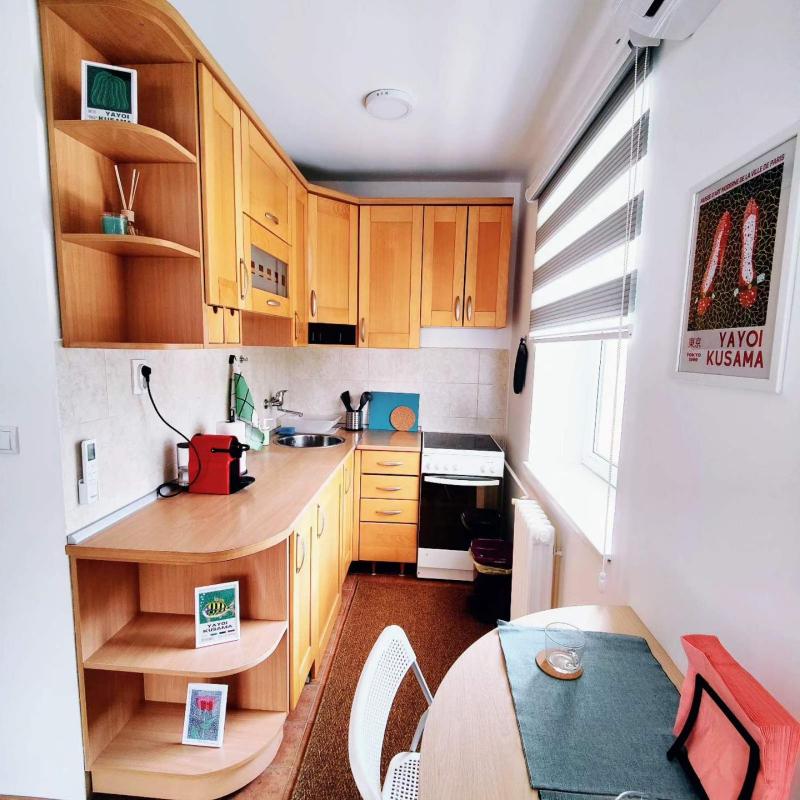 Wicker Park Apartment Novi Sad - image 3