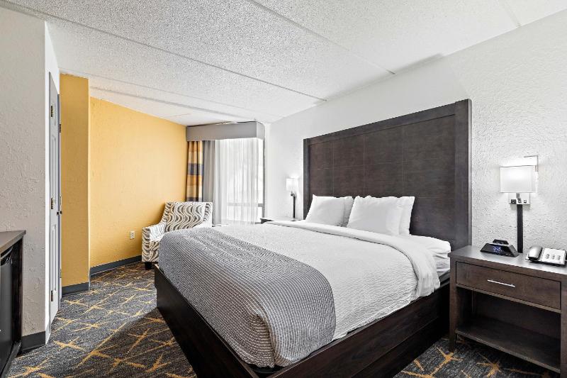 King Room with Mobility/Hearing Access and Roll-In Shower, Non-Smoking image 4