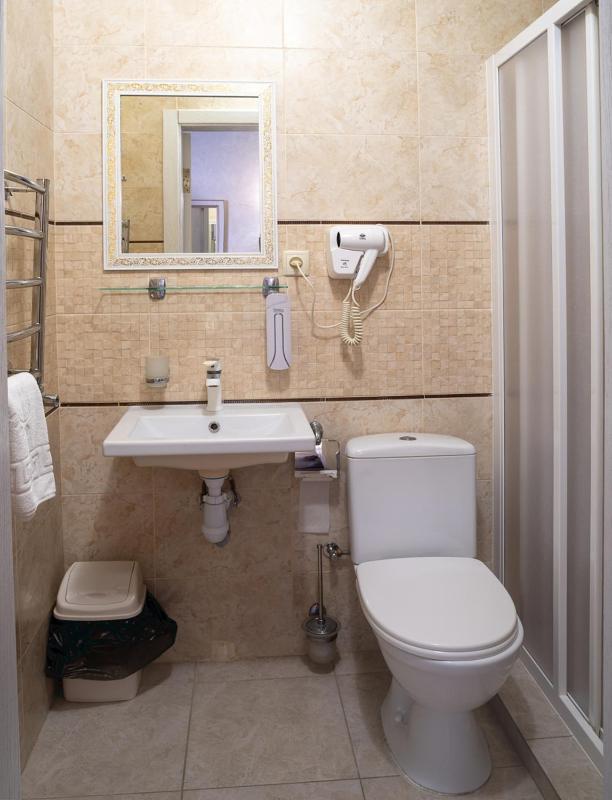 Deluxe Double Room image 4