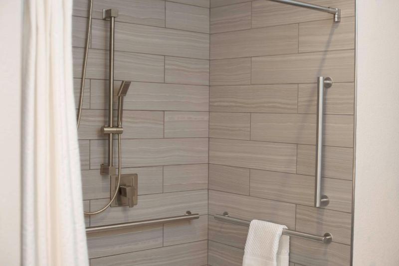 King Studio Suite with Roll in Shower image 2