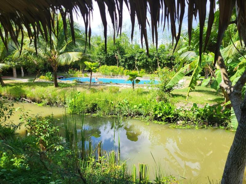 Green Village Mekong - image 19