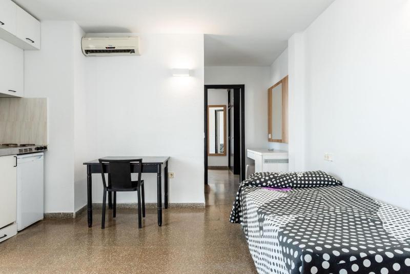 One-Bedroom Apartment image 4