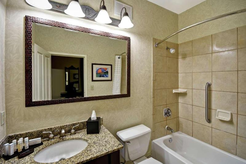 Embassy Suites by Hilton Charleston Historic District - image 11
