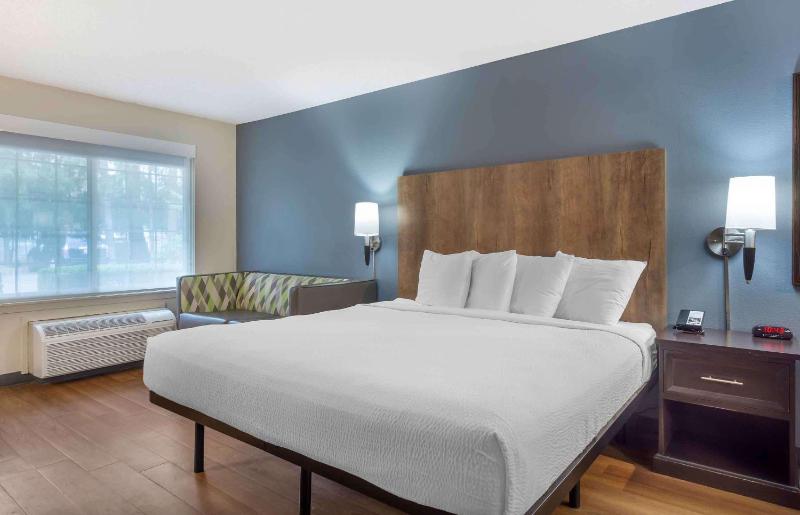 Deluxe Studio with 1 King Bed - Non-Smoking image 1