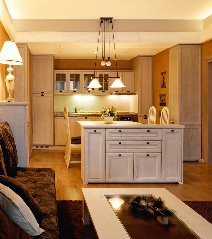 Deluxe Apartment image 4