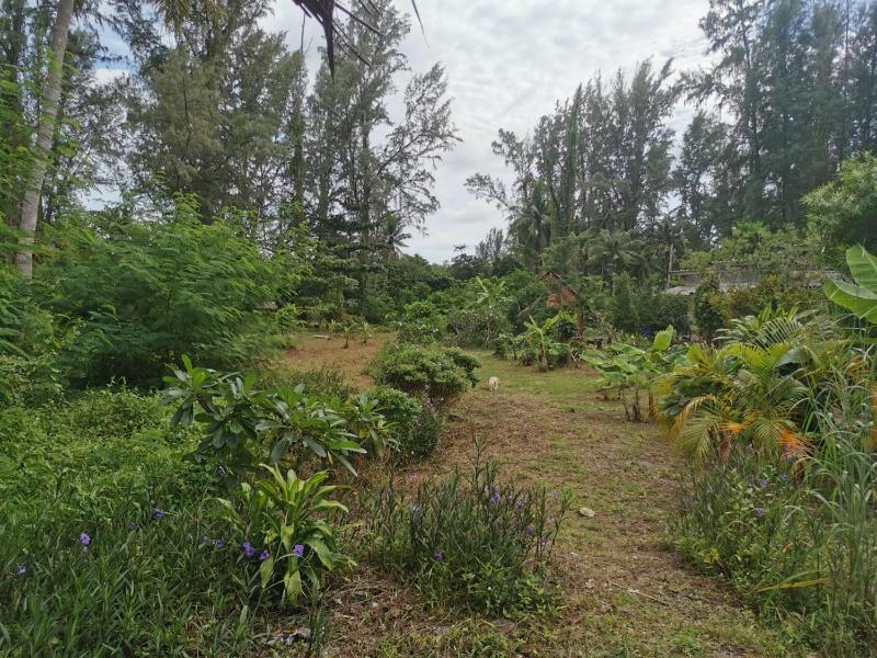 Hippy Trail Beach Village Bungalows - image 12