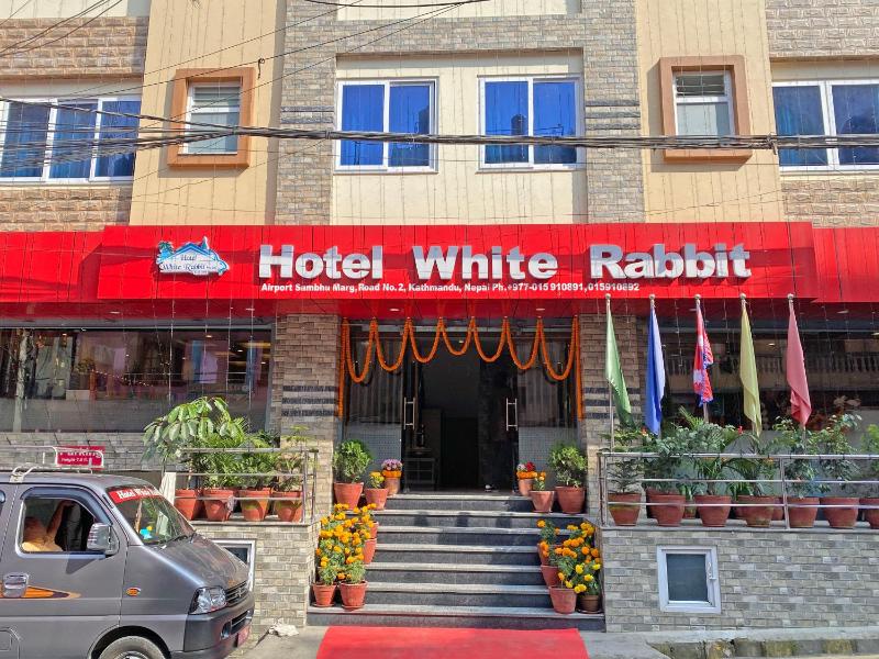Hotel White Rabbit - image 9