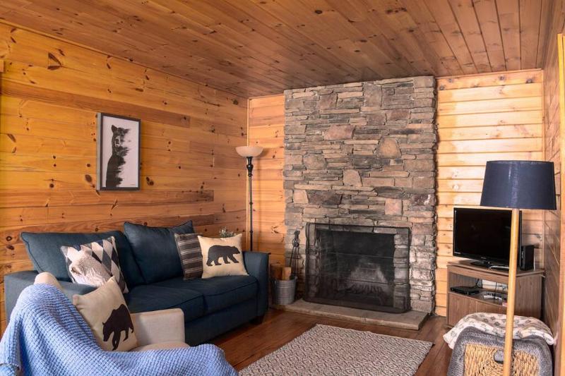 Nantahala Resort cabin, POOL OPEN, horseback riding, game room, gym, restaurant on site Images