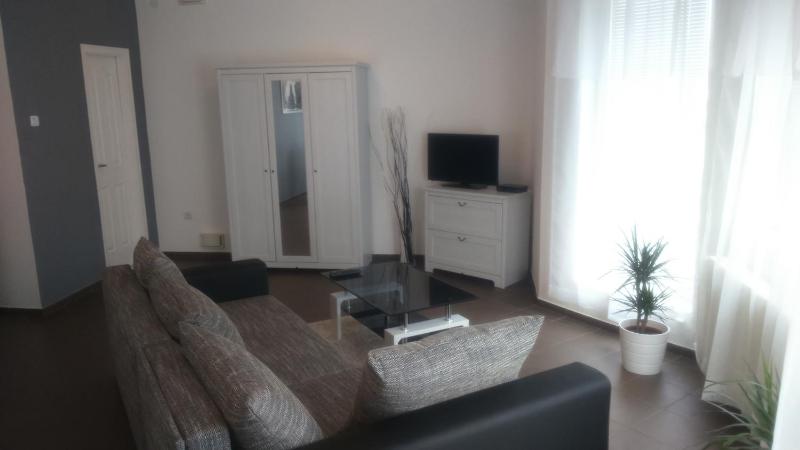 One-Bedroom Apartment image 2