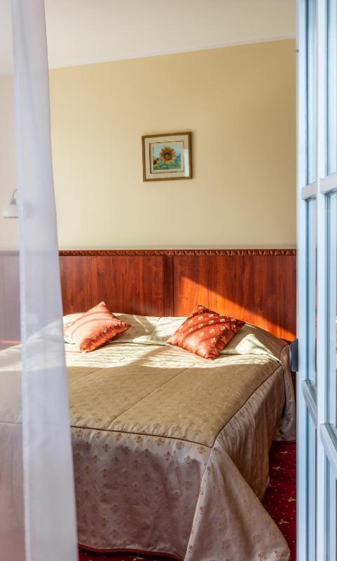 Double or Twin Room with Balcony and SPA Access image 3