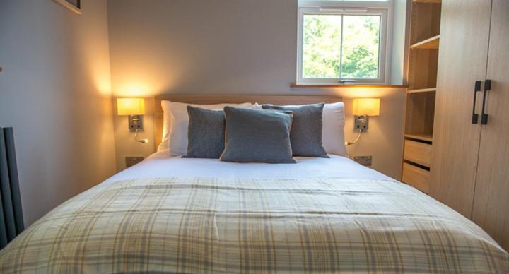 One-Bedroom Apartment image 3