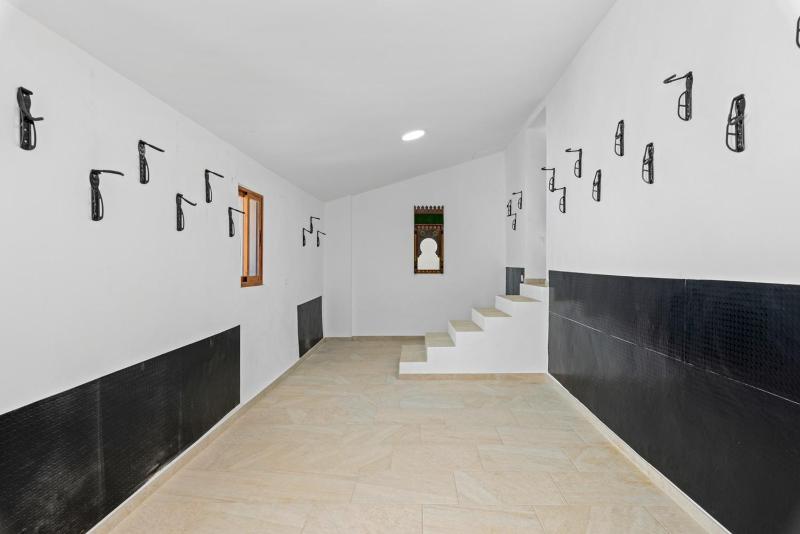 Deluxe Villa image 4