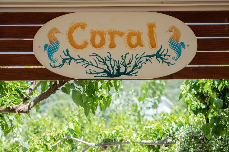 CORAL - image 5