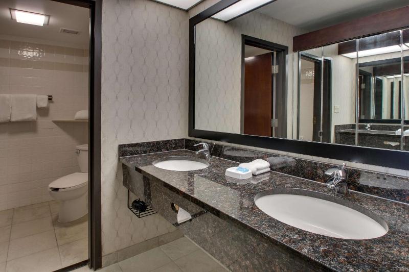 Drury Inn & Suites Houston Galleria - image 12