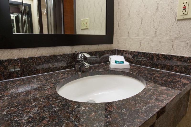 Drury Inn & Suites Houston Galleria - image 38