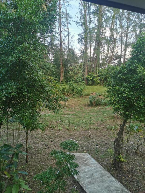 Hippy Trail Beach Village Bungalows - image 37