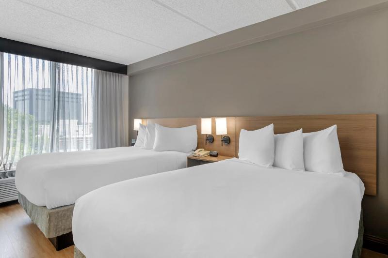 Double Room with Two Double Beds and Sofa Bed image 4