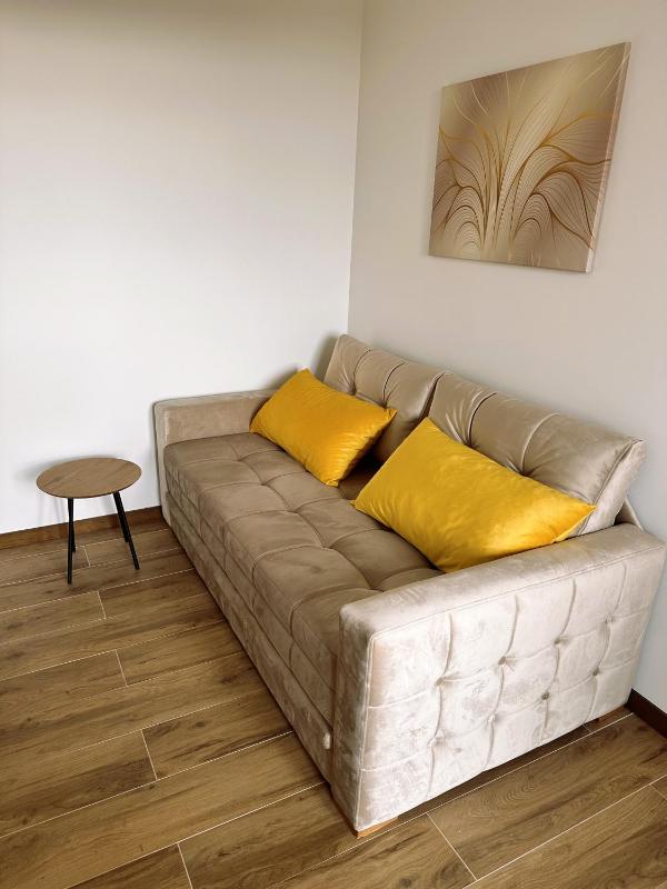 Zlatni apartman Borovi - image 11