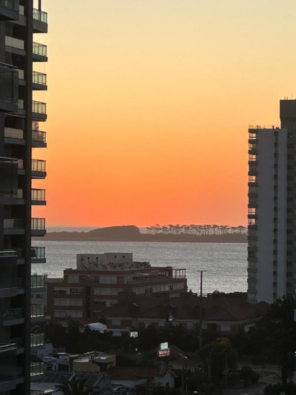 Hermoso apartamento Torre de categoría Long Beach en la mejor ubicación de Punta del Este - image 39