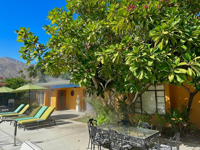 Vista Grande Resort - A Gay Men's Resort - image 10