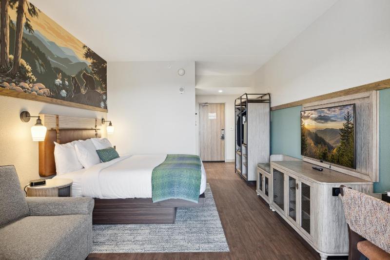 King Room with Sleeper Sofa Hearing Accessible image 3