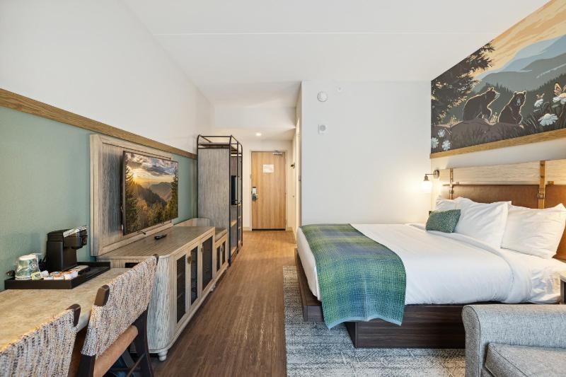 King Room with Murphy Bed image 2