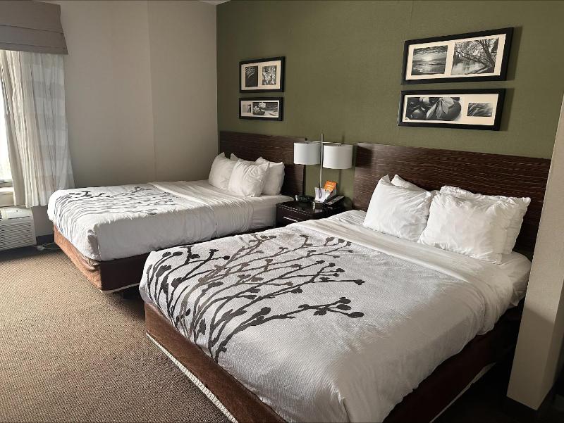 Queen Room with Two Queen Beds - Non-Smoking image 3