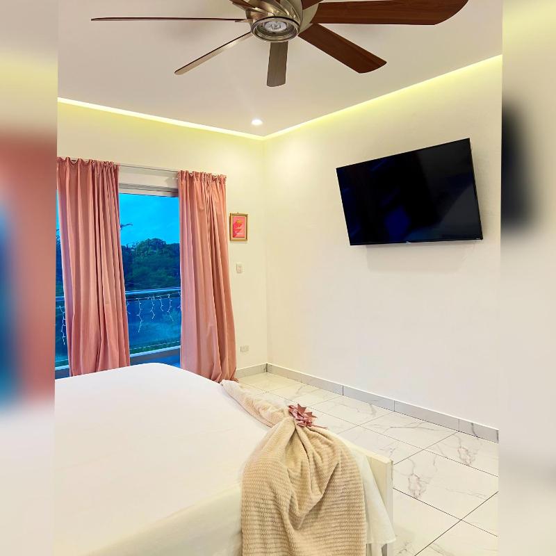 5 Star Villa minutes from Airport and Beaches - image 9