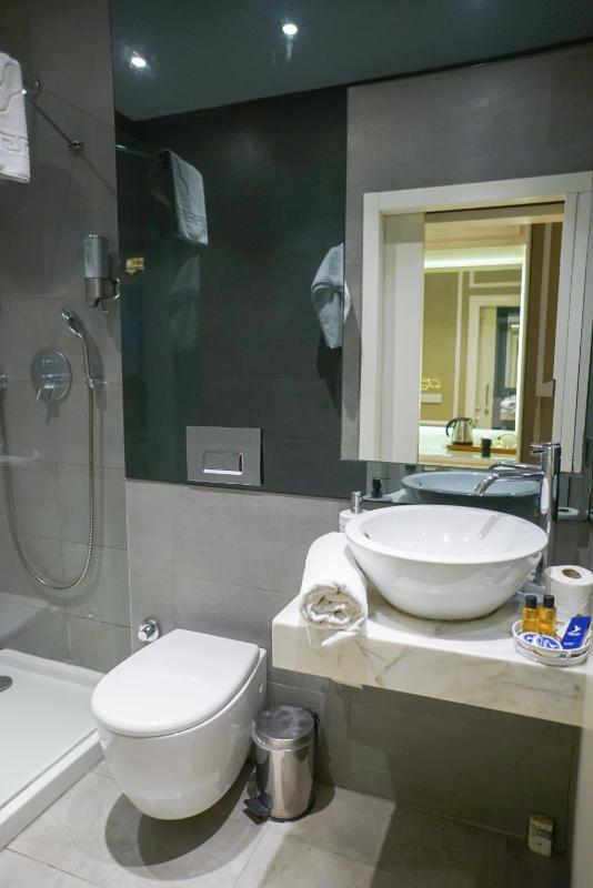 Triada Hotel Taksim - Special Category - image 10