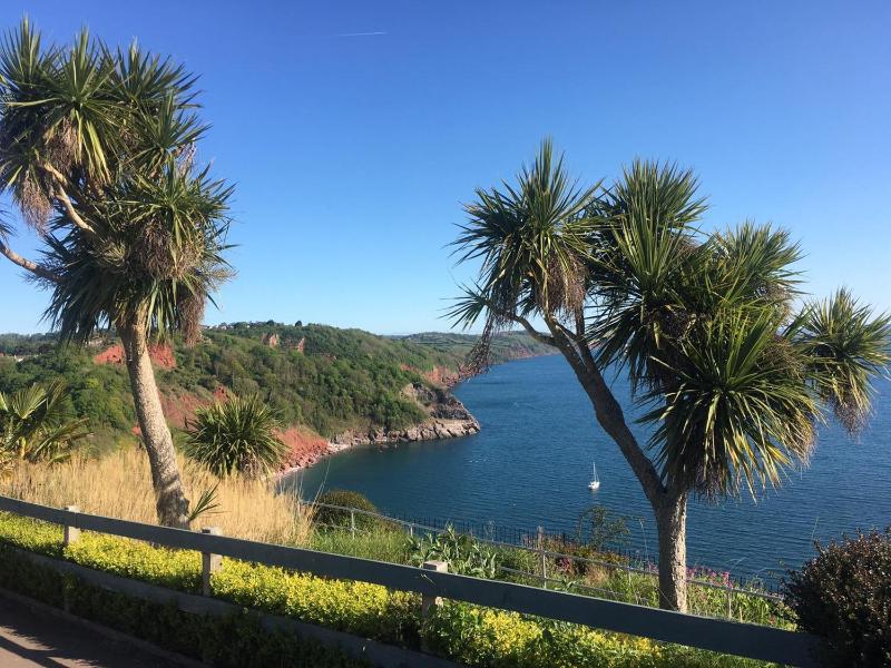 The Downs Babbacombe - image 39
