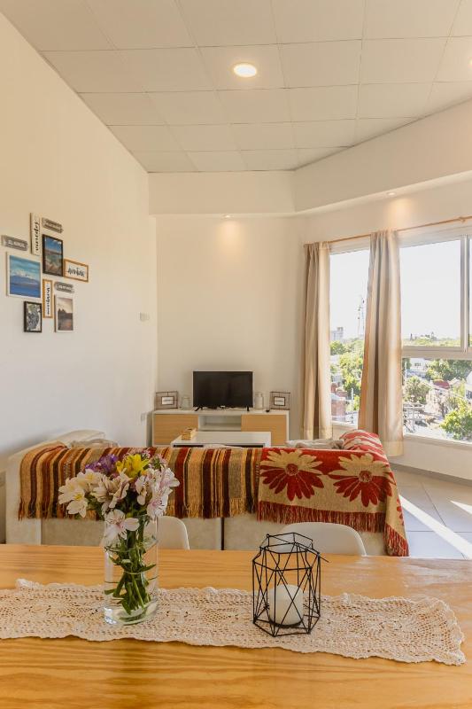 Superior Nevado Penthouse San Rafael - image 25