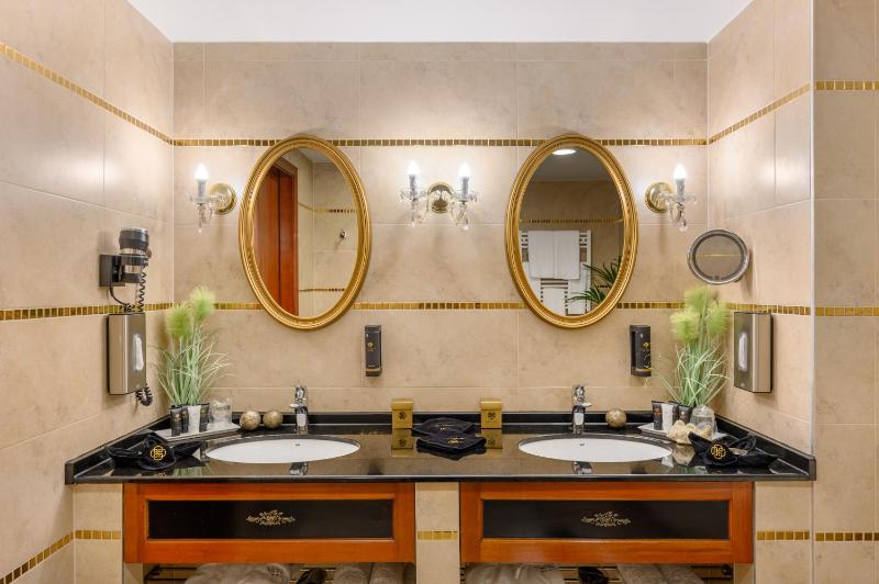 Deluxe Plus Room image 3