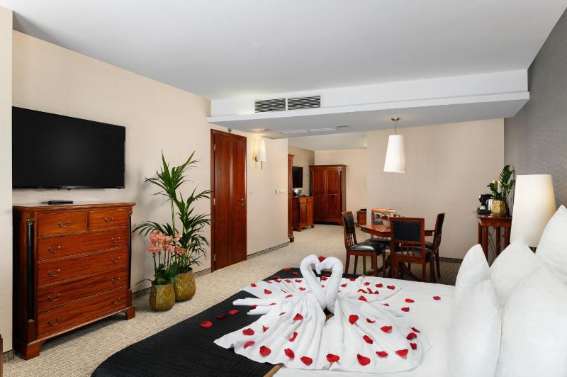 Deluxe Plus Room image 1