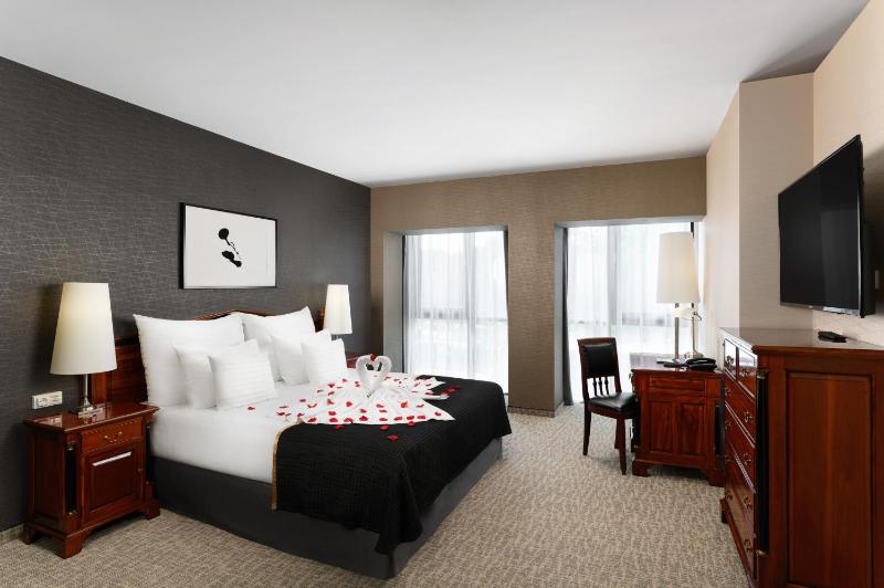 Deluxe Plus Room image 4