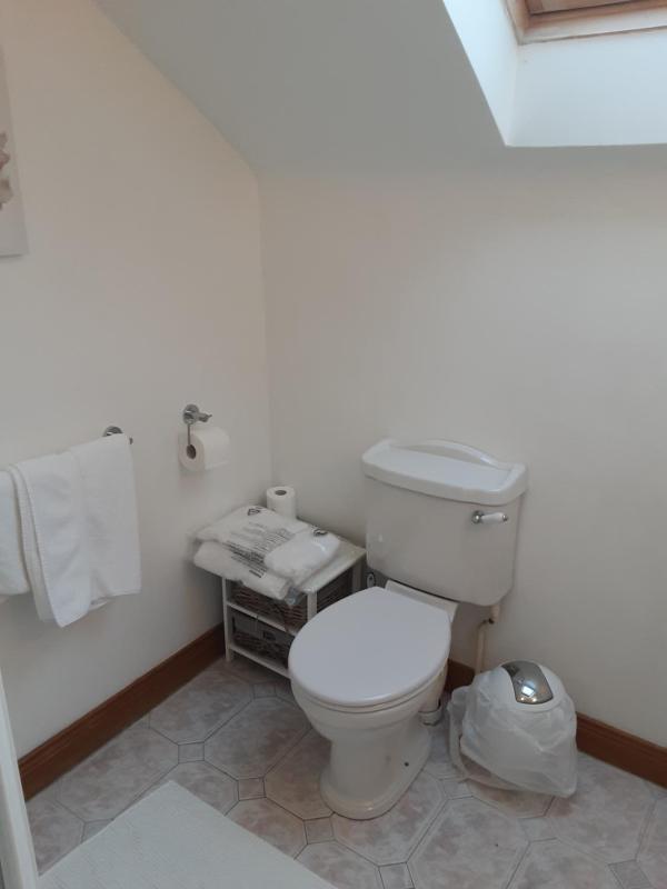 Family Room with Shower image 3