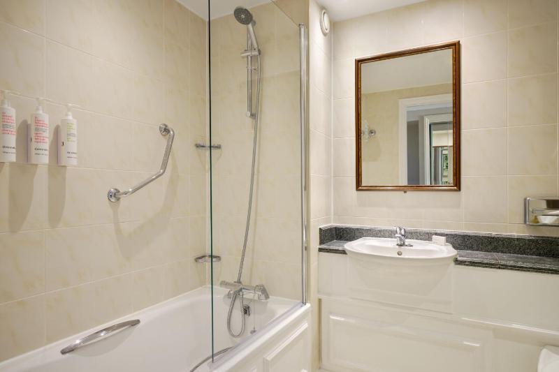 Deluxe King Room image 2