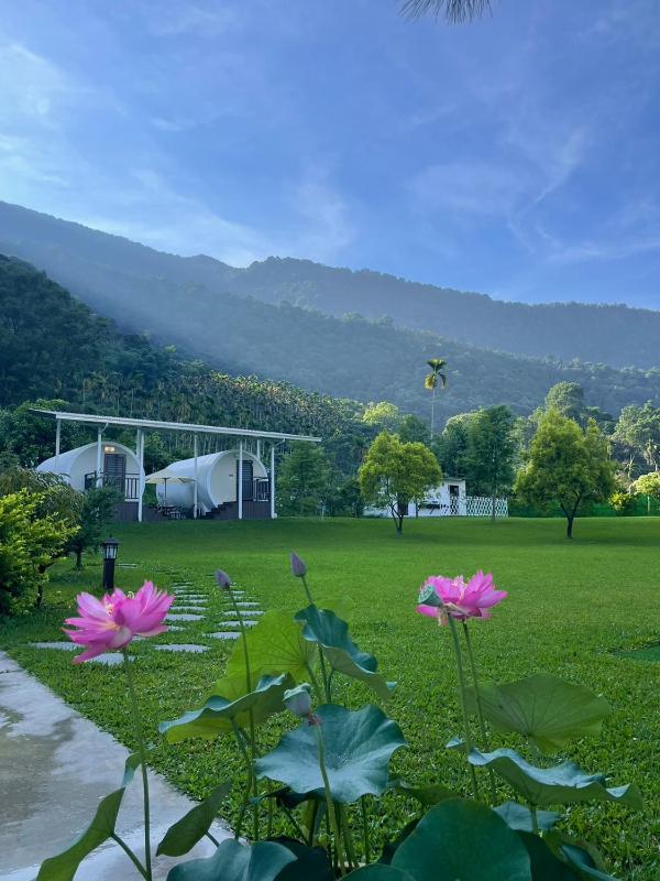 Star & Moon GUEST HOUSE - image 9