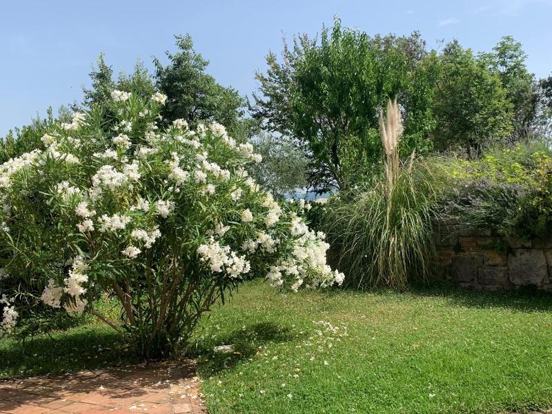 Villa Malini with Pool Sauna and Fenced Garden - image 36