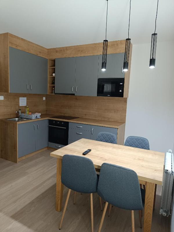 One-Bedroom Apartment with Terrace image 1